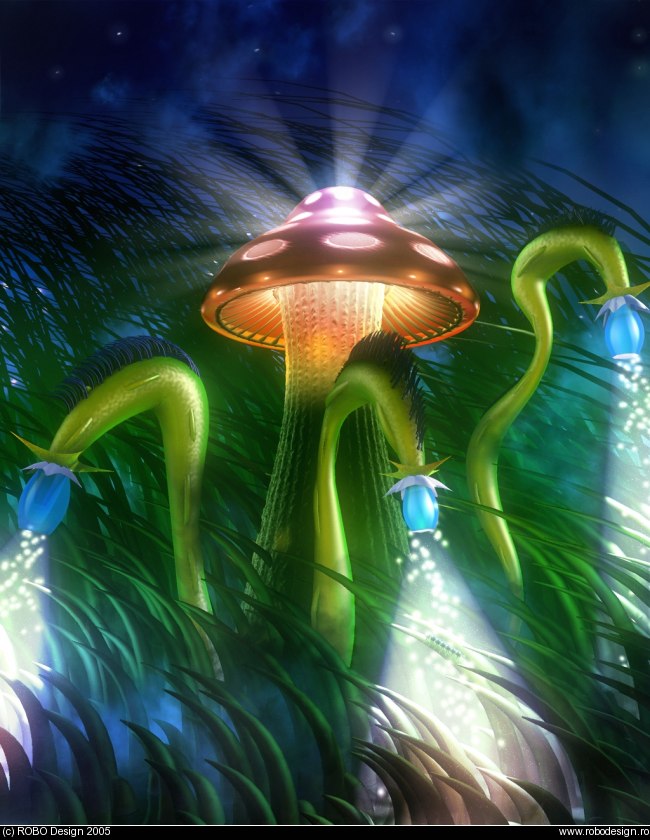 Mushroom 
      Kingdom